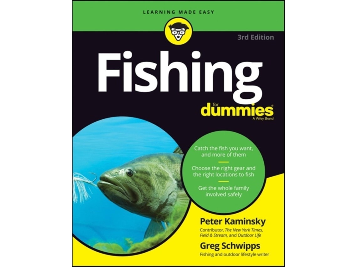 Fishing for Dummies de GL Schwipps (Inglés)