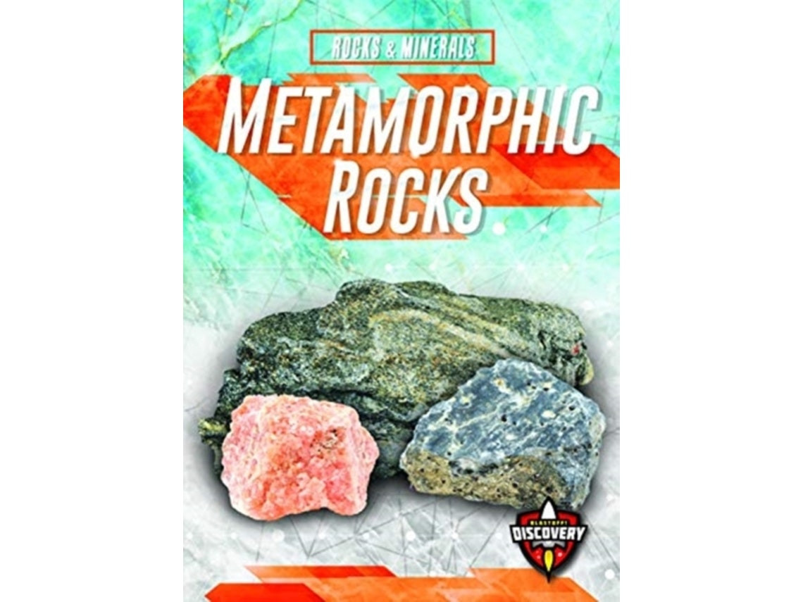 Metamorphic Rocks de Jennifer Fretland VanVoorst (Inglés)