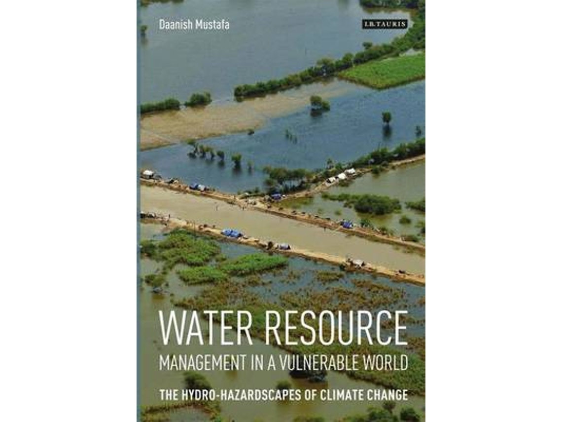 Water Resource Management in a Vulnerable World de Daanish Mustafa (Inglés)