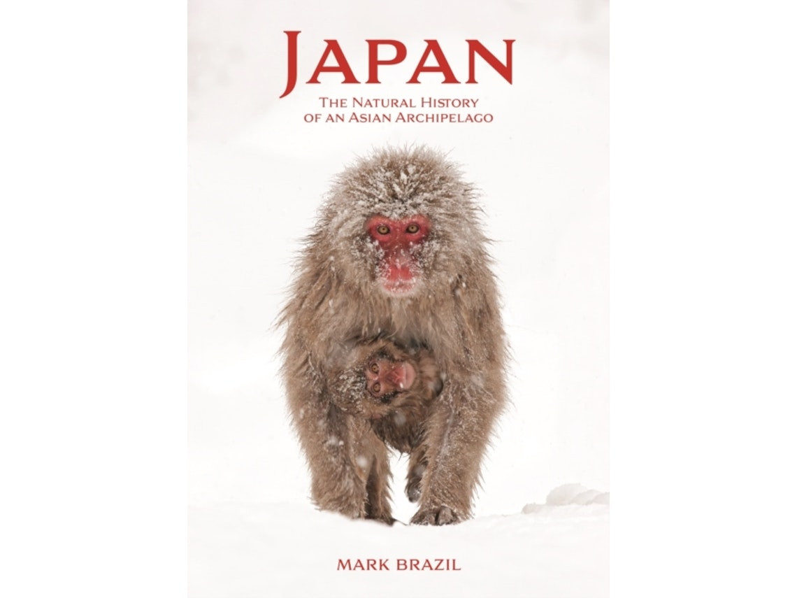 Japan de Mark Brazil (Inglés)