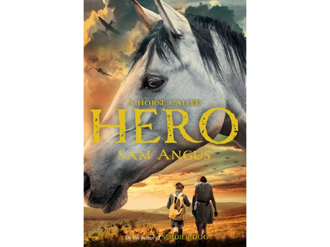 A Horse Called Hero de Sam Angus (Inglés)