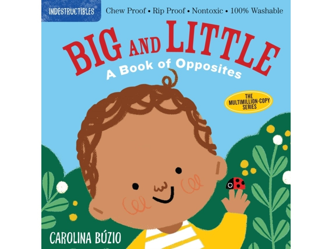 Indestructibles: Big and Little de Amy Pixton (Inglés)