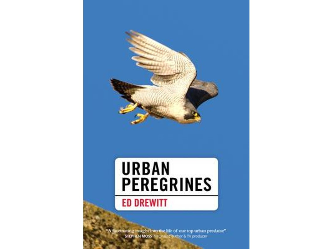 Urban Peregrines de Ed Drewitt (Inglés)