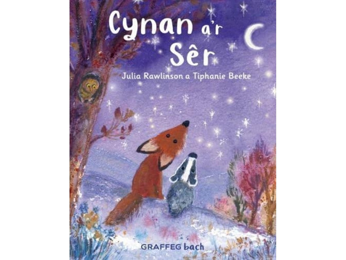 Cynan a'r Ser de Julia Rawlinson (Galés)