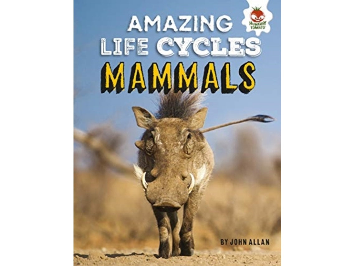 Mammals — Amazing Life Cycles by John Allan (English)
