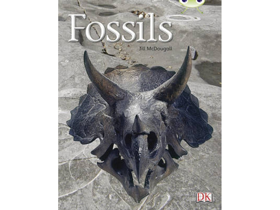 Bug Club Non-Fiction: Fossils by Jill McDougall (English)