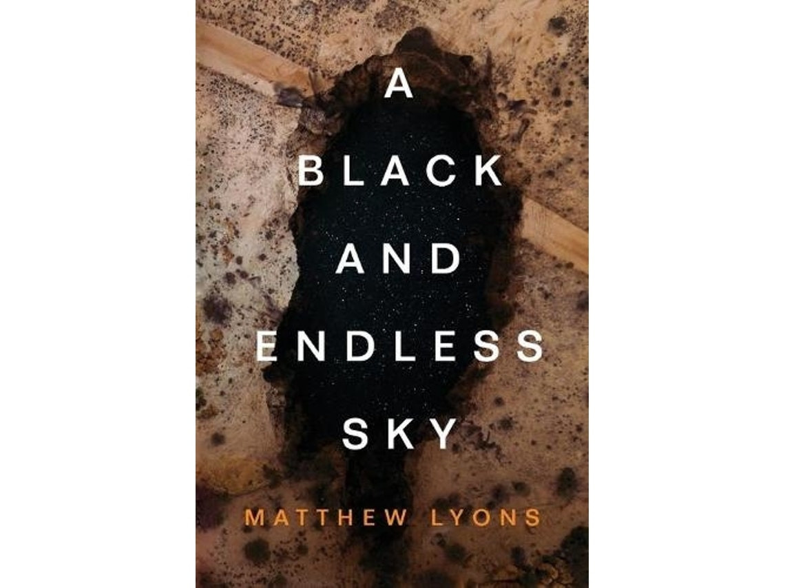 A Black and Endless Sky by Matthew Lyons (English)