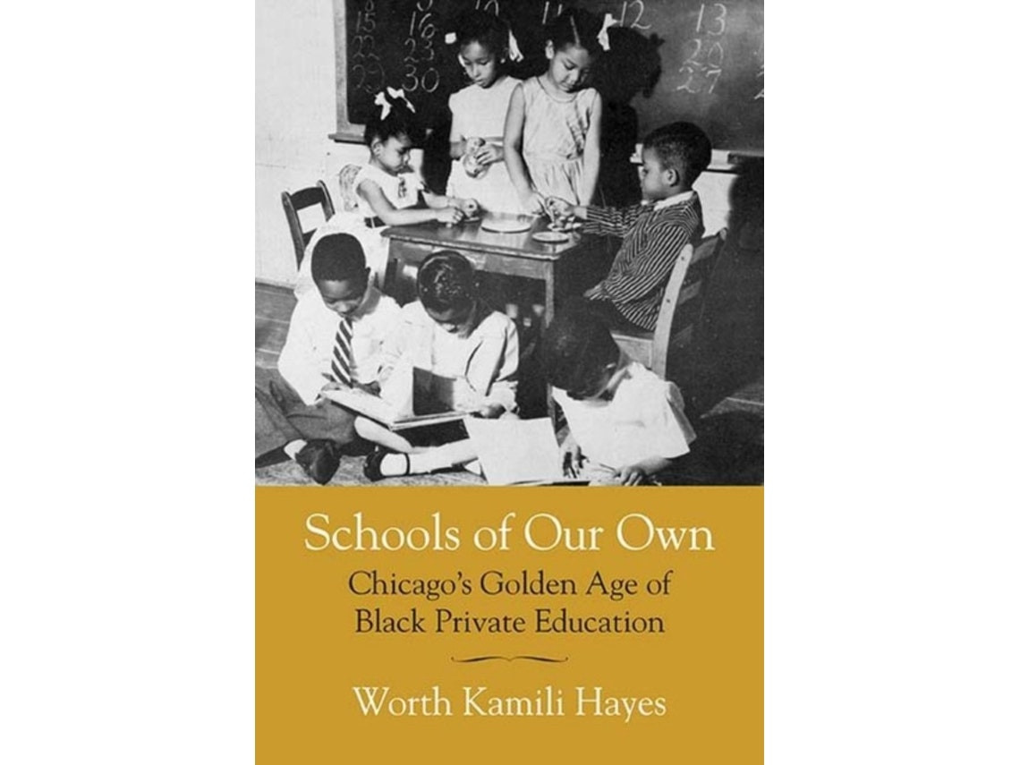 Schools of Our Own de Worth Kamili Hayes (Inglés)