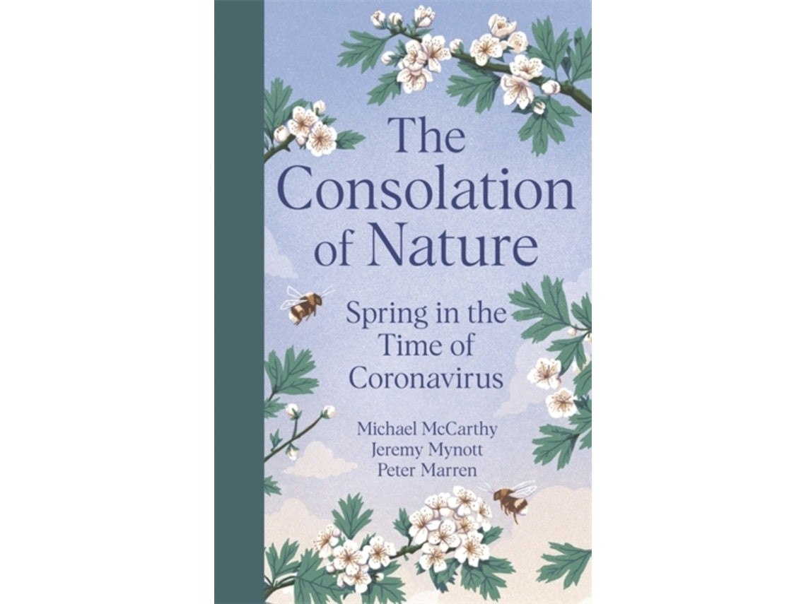 The Consolation of Nature de Michael McCarthy, Jeremy Mynott y Peter Marren (Inglés)