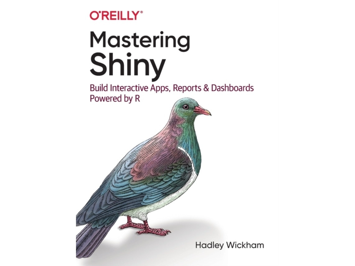 Mastering Shiny de Hadley Wickham (Inglés)