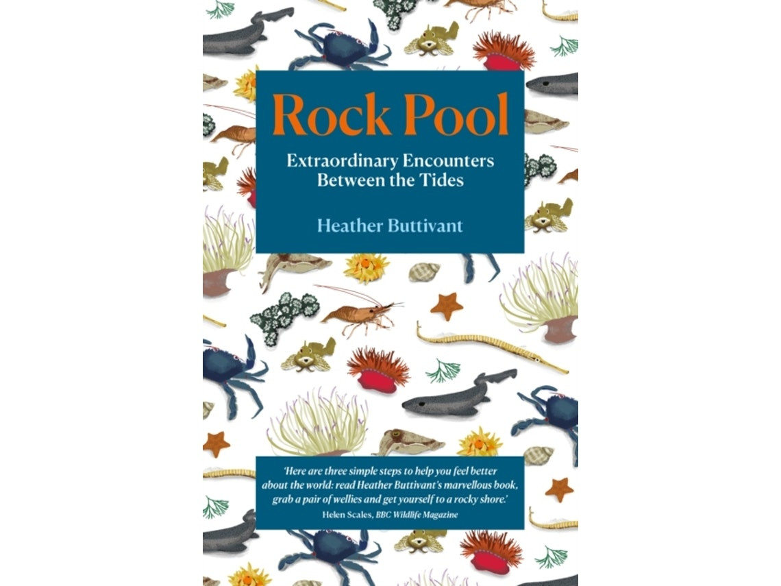 Rock Pool de Heather Buttivant (Inglés)