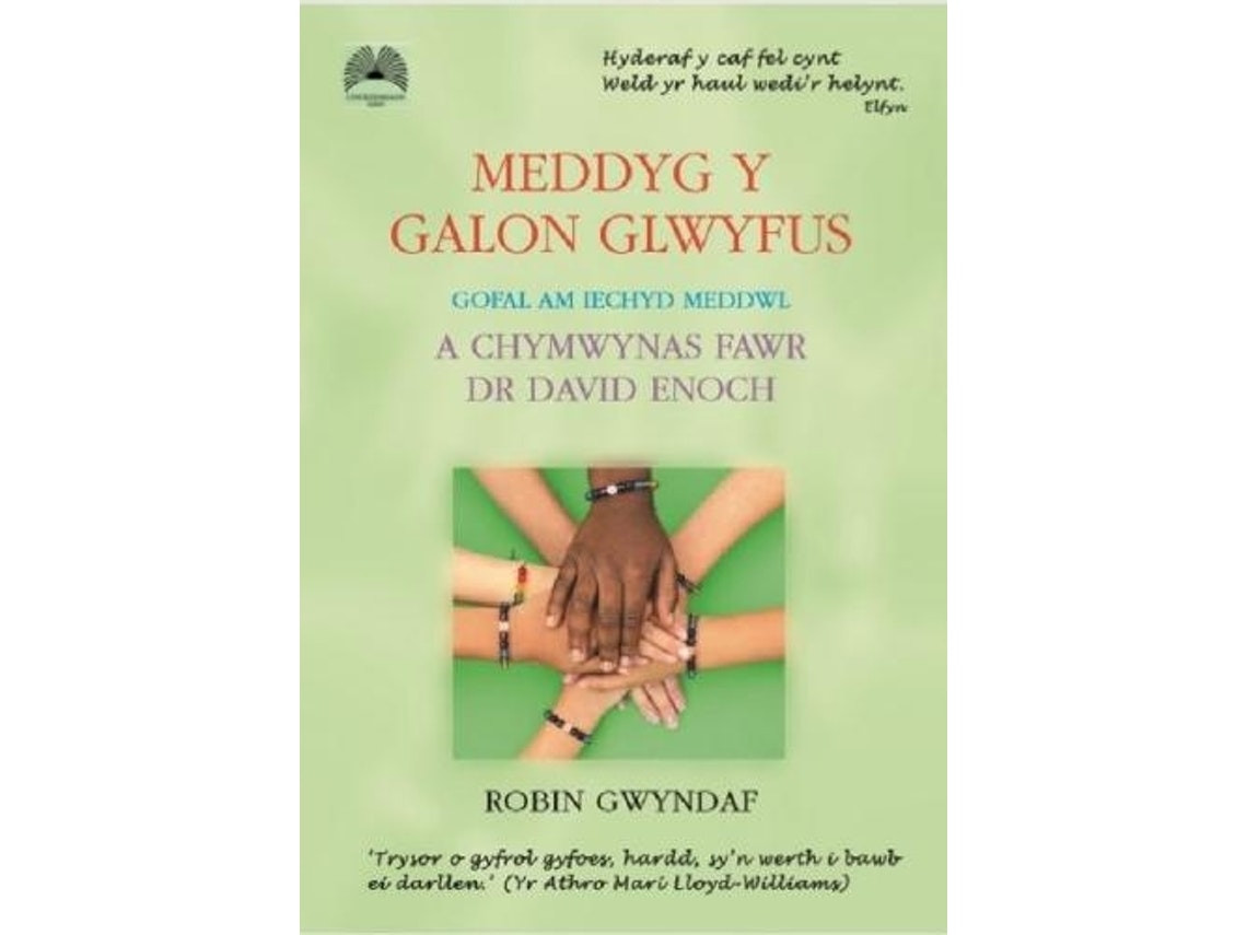 Livro meddyg y galon glwyfus - gofal am iechyd meddwl a chymwynas fawr dr david enoch de robin gwyndaf (galês)
