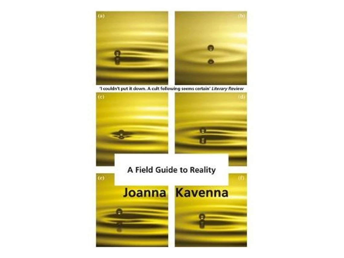 A Field Guide to Reality de Joanna Kavenna (Inglés)