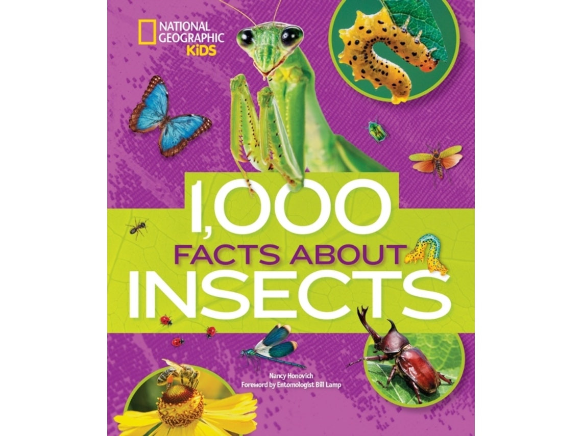 1000 Facts About Insects by Nancy Honovich (English)