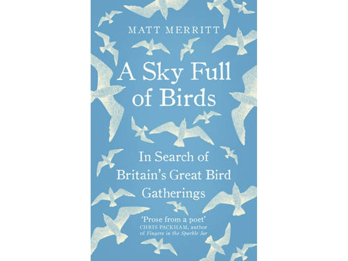 A Sky Full of Birds de Matt Merritt (Inglés)