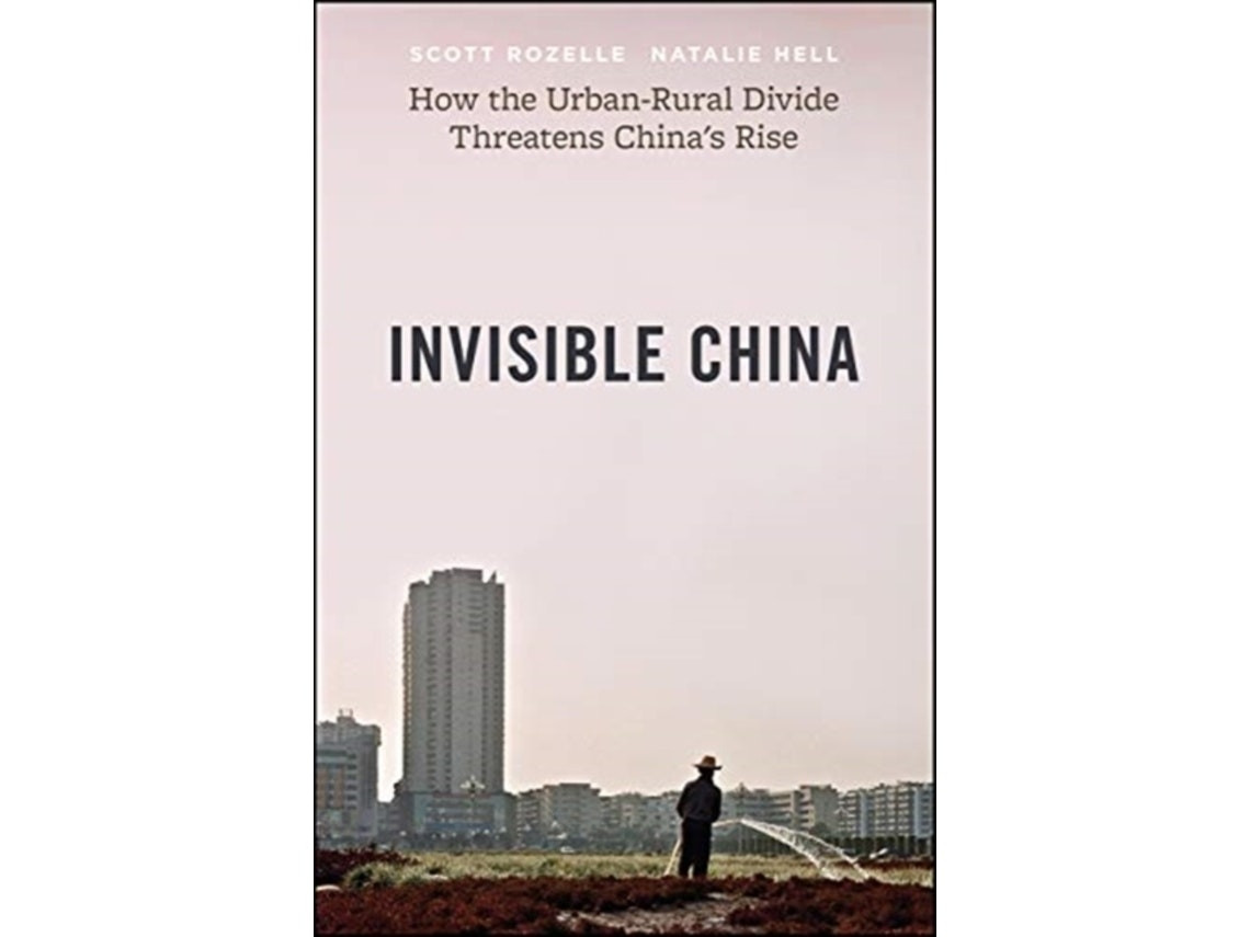 The Invisible China de Scott Rozelle y Natalie Hell (Inglés)
