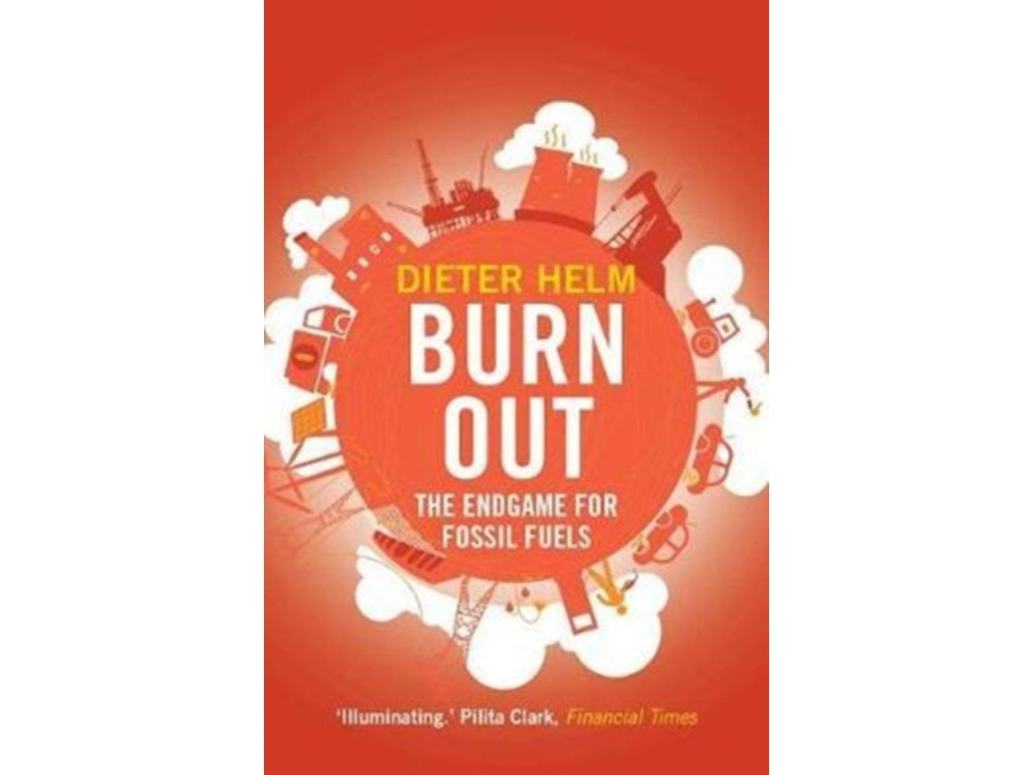 Burnout de Dieter Helm (Inglés)