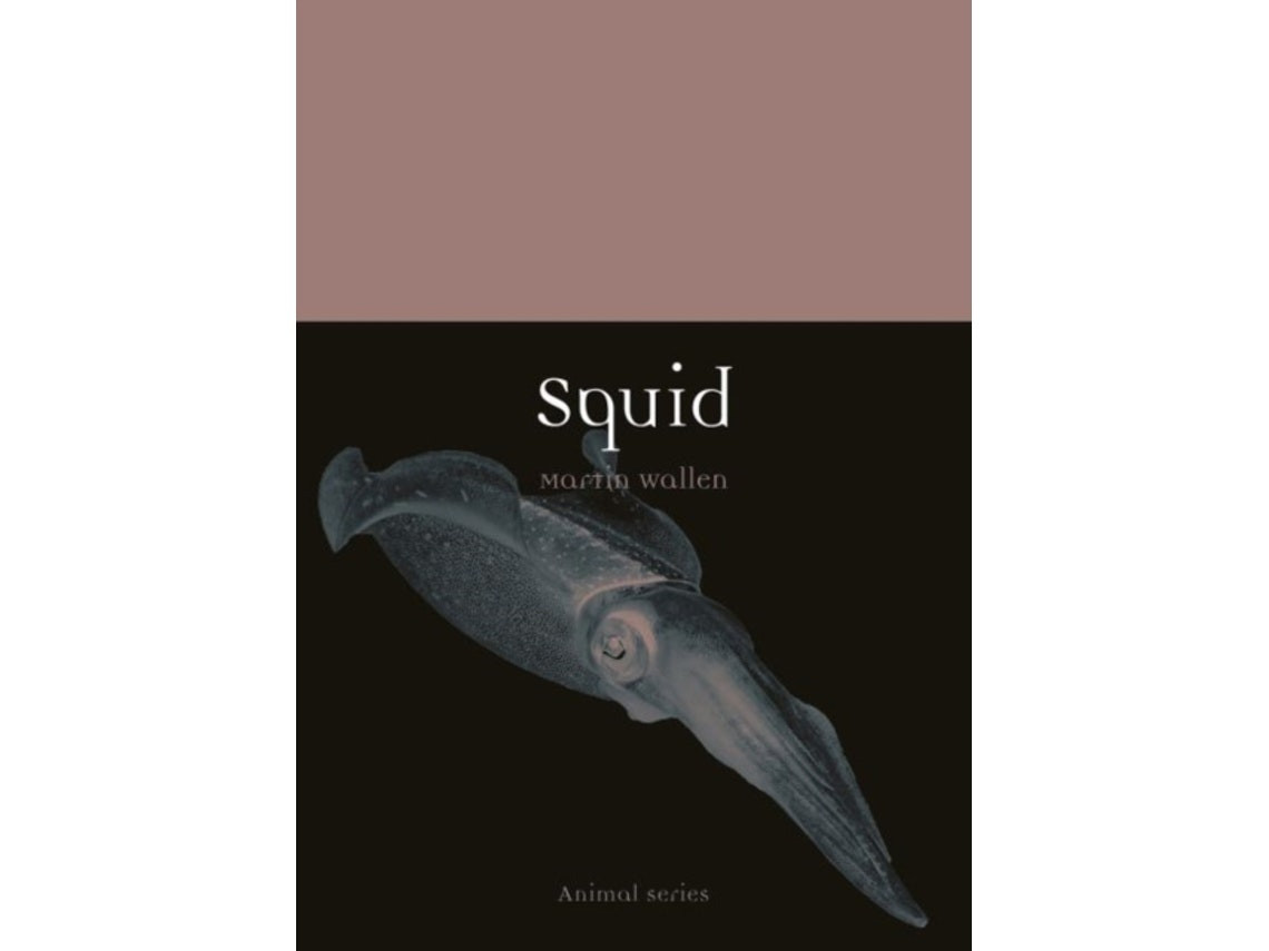 Squid de Martin Wallen (Inglés)