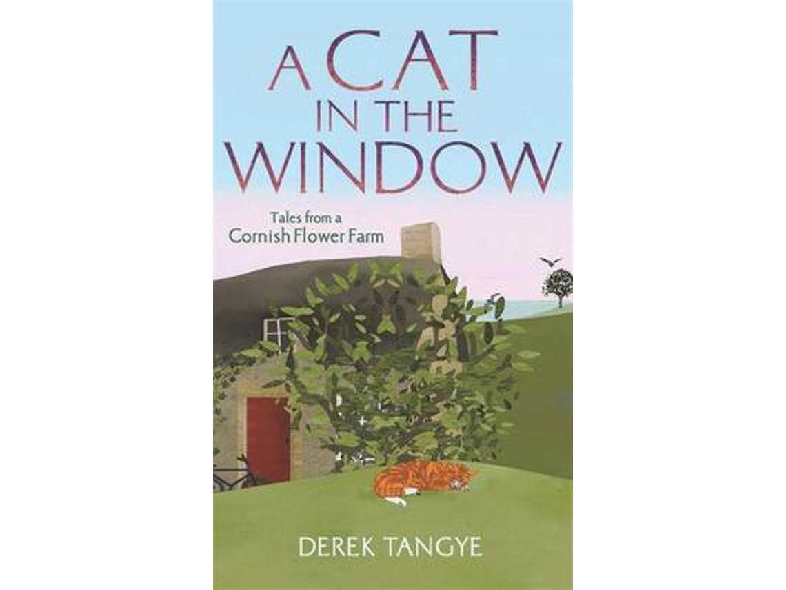 Imagen 1