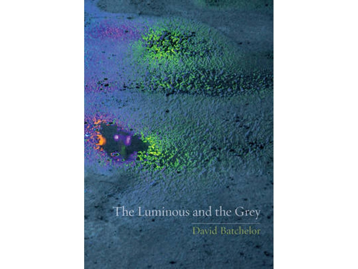 The Luminous and the Grey de David Batchelor (Inglés)