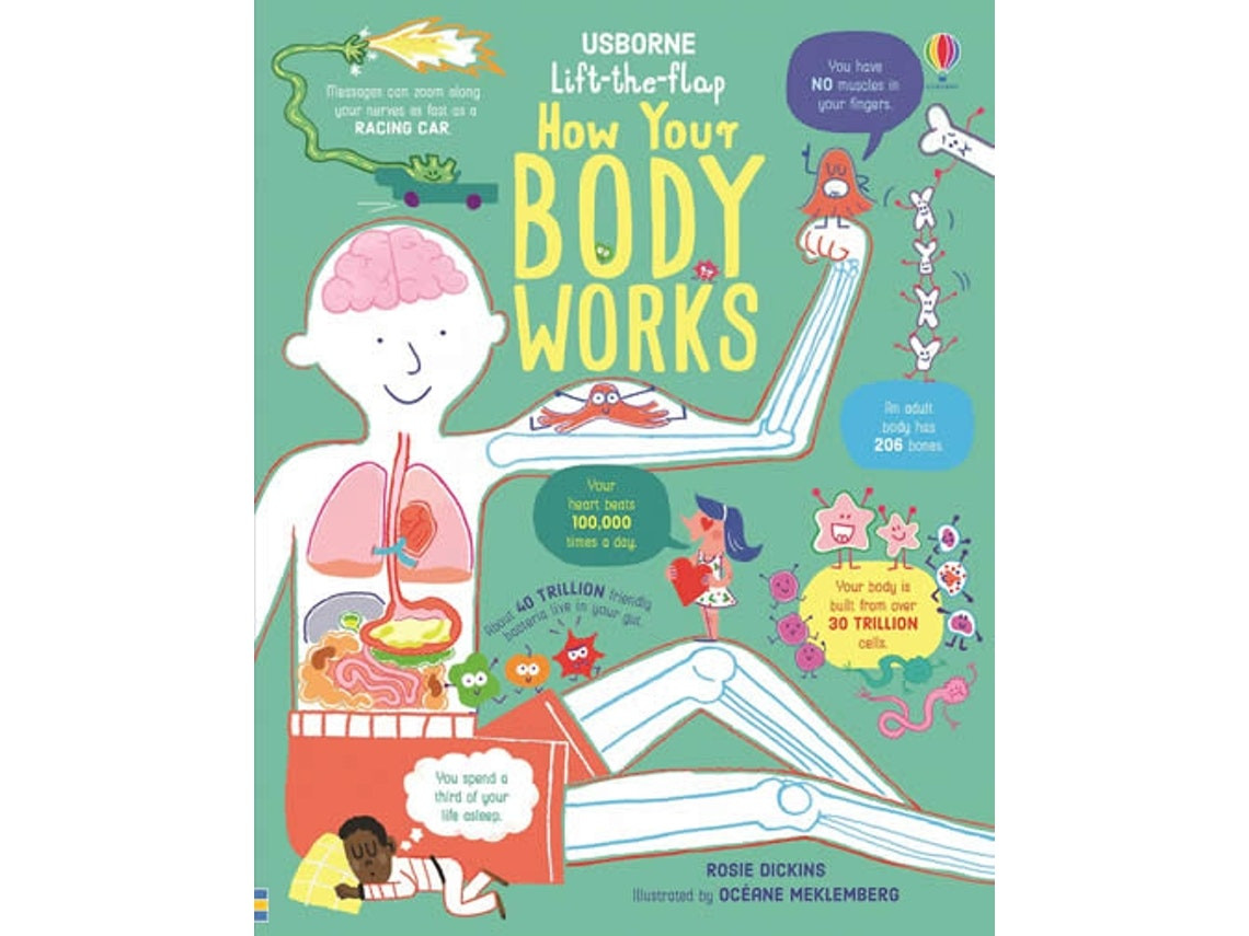 Lift the Flap How Your Body Works de Rosie Dickins (Inglés)
