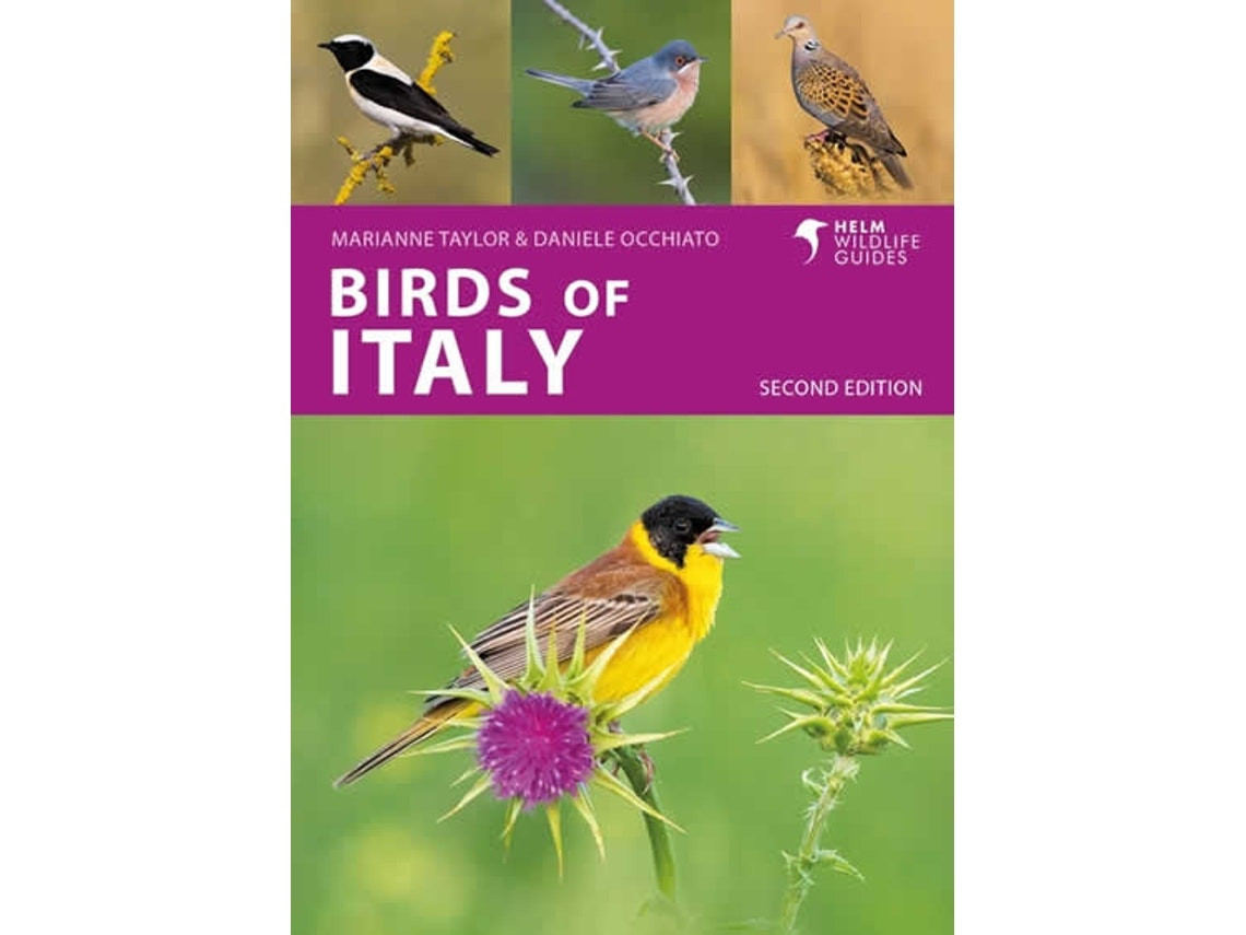 Birds of Italy de Marianne Taylor (Inglés)
