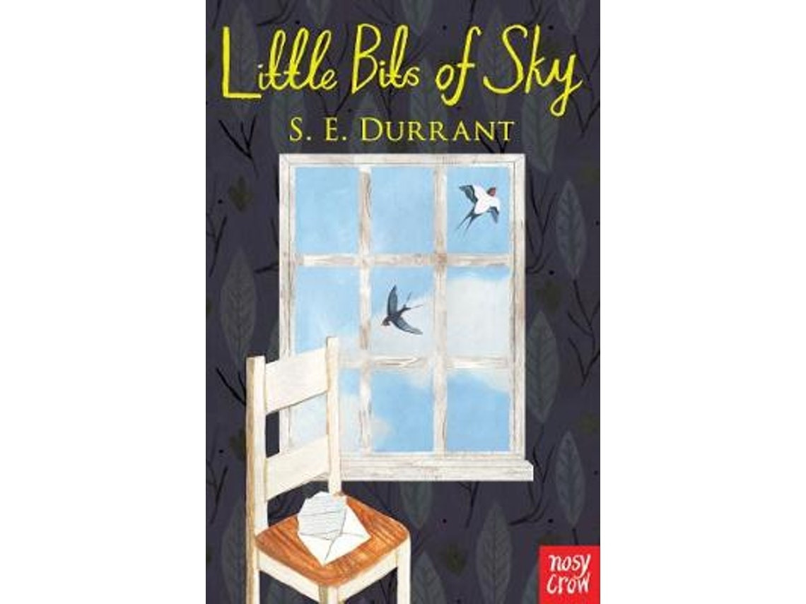 Little Bits of Sky by S. E. Durrant (English)
