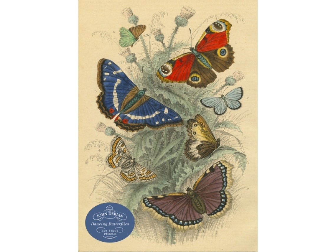 John Derian Dancing Butterflies de John Derian (Inglés)