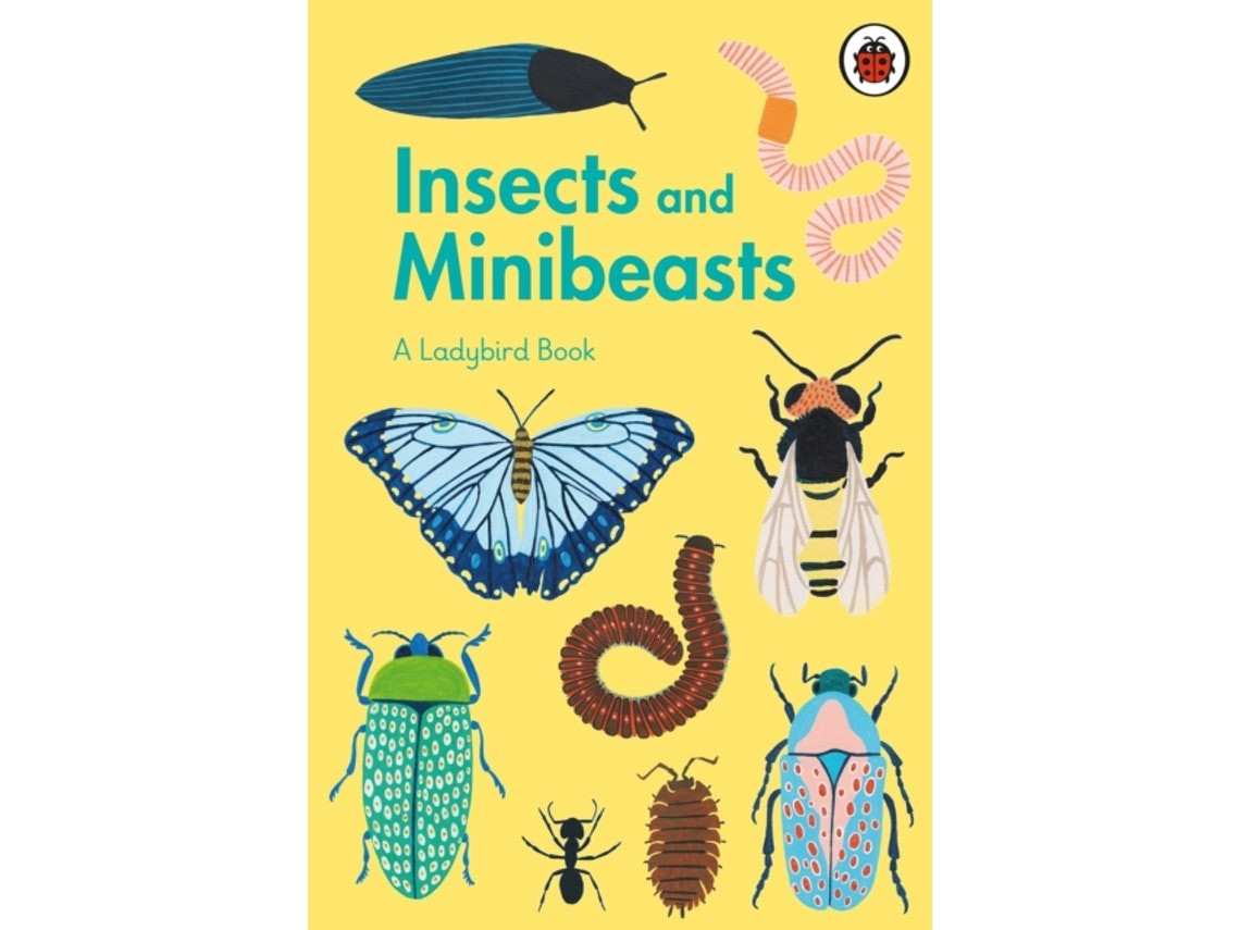 A Ladybird Book: Insects and Minibeasts de Amber Davenport (Inglés)