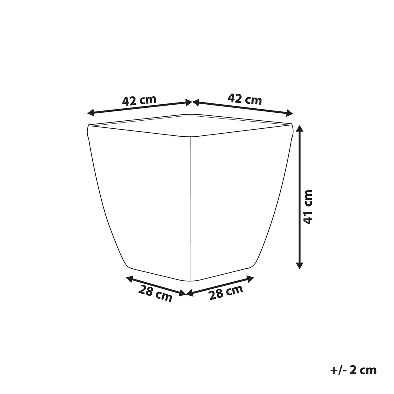 Imagen 5
