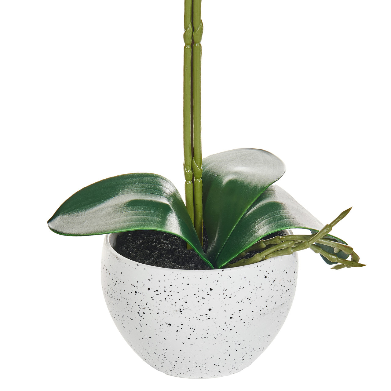 Imagen 3