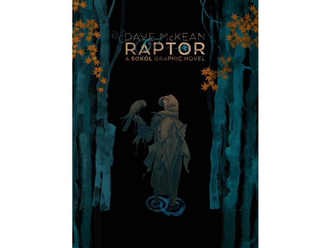 Raptor: A Sokol Graphic Novel by Dave McKean (English)