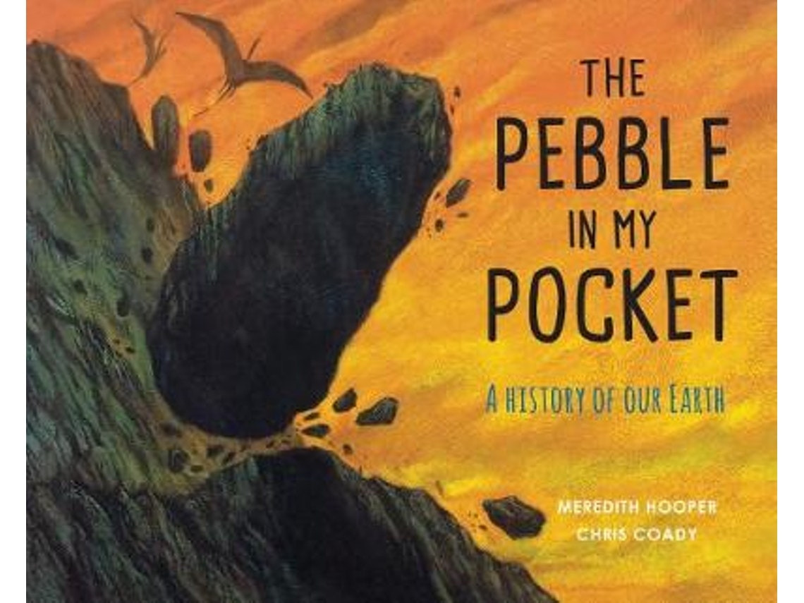 The Pebble in My Pocket de Meredith Hooper (Inglés)