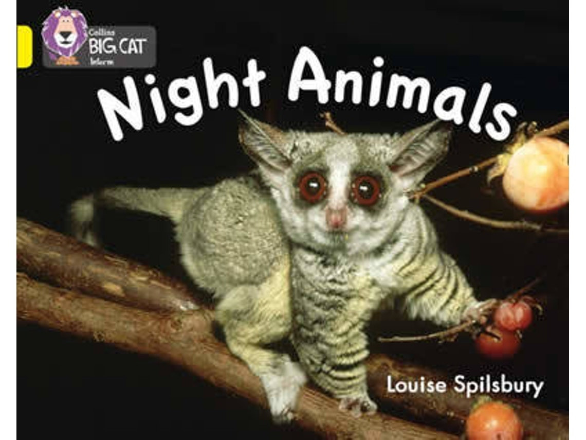 Night Animals by Louise Spilsbury (English)