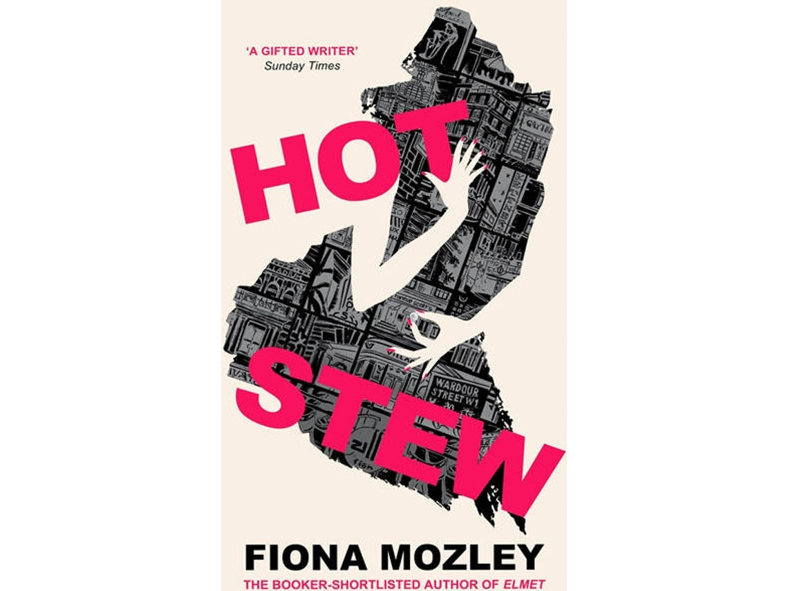 Hot Stew de Fiona Mozley (Inglés)