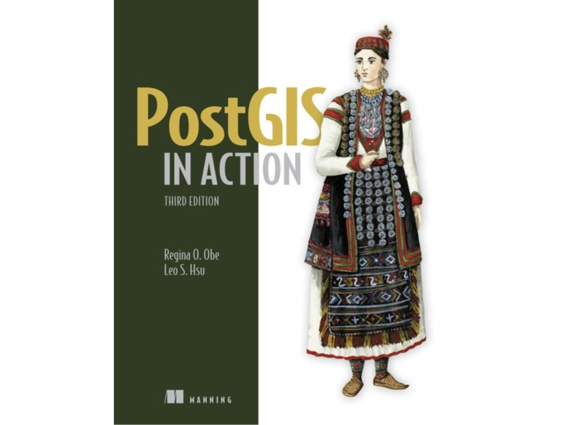 PostGIS in Action de Regina Obe y Leo Hsu (Inglés)
