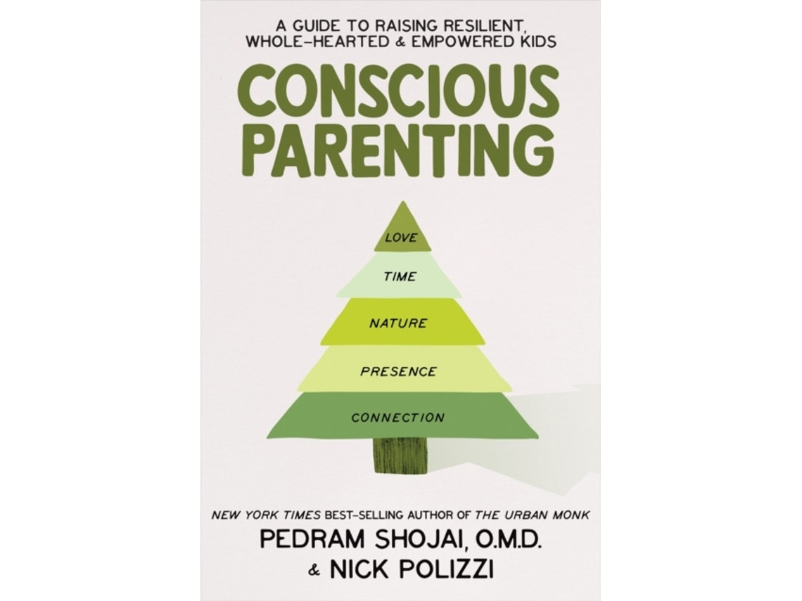 Conscious Parenting de Nick Polizzi y Pedram Shojai (Inglés)
