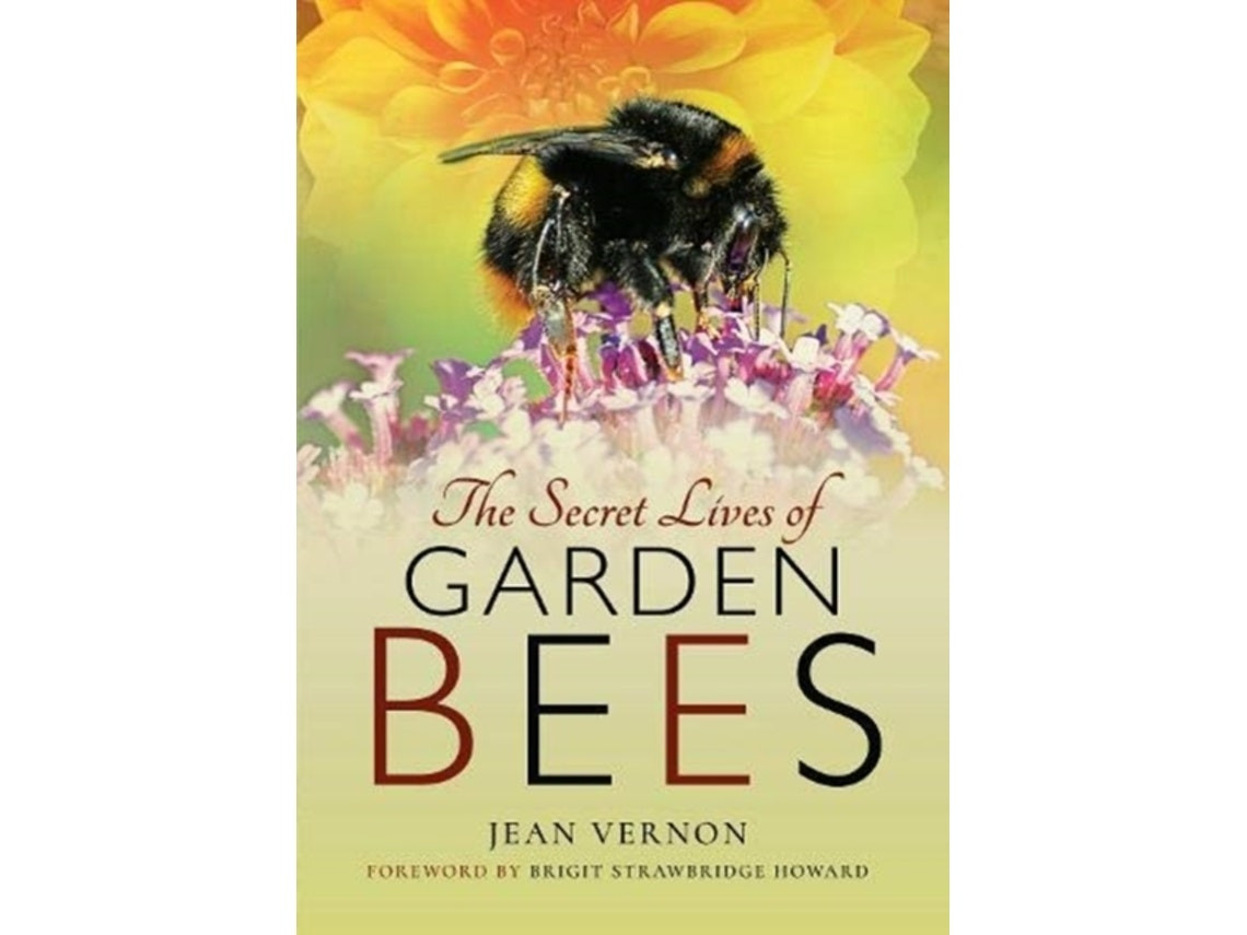 The Secret Lives of Garden Bees de Jean Vernon (Inglés)