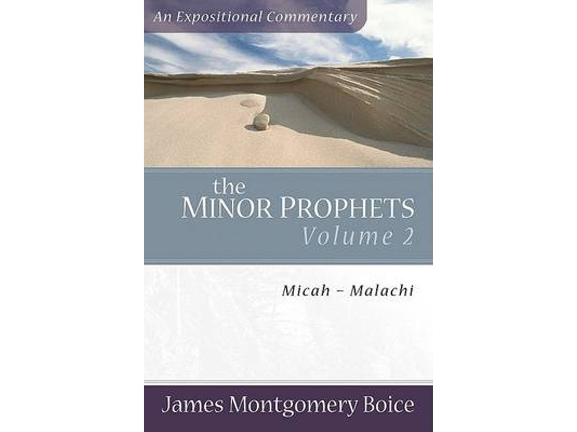 The Minor Prophets de James Montgomery Boice (Inglés)