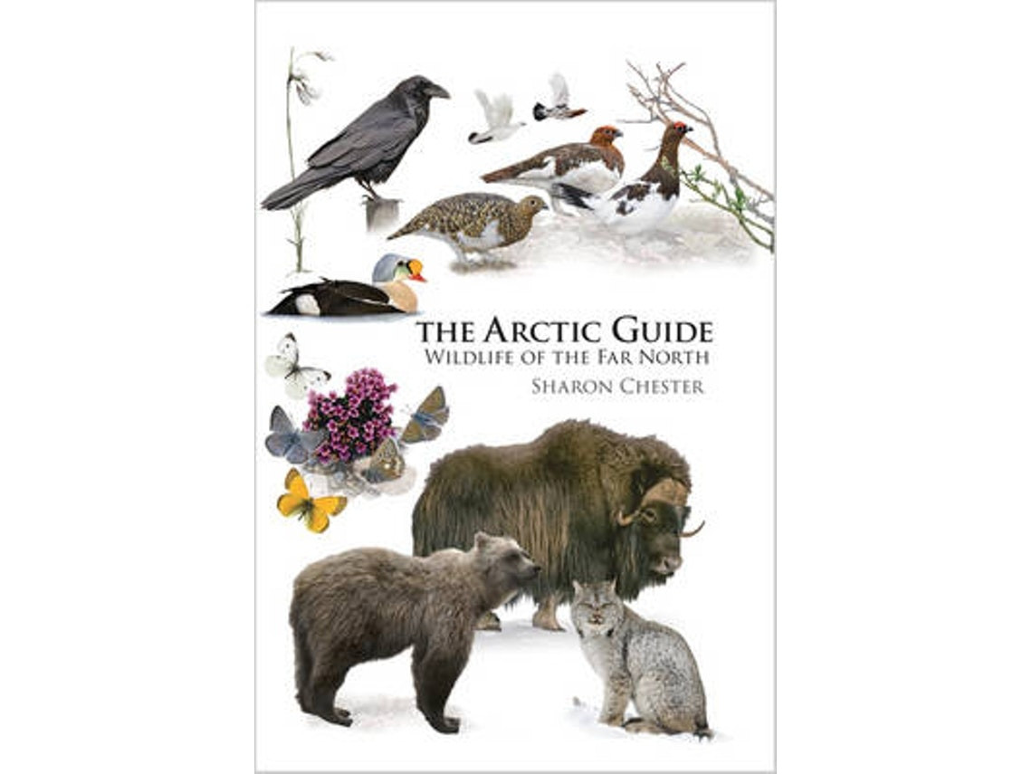 The Arctic Guide de Sharon Chester (Inglés)