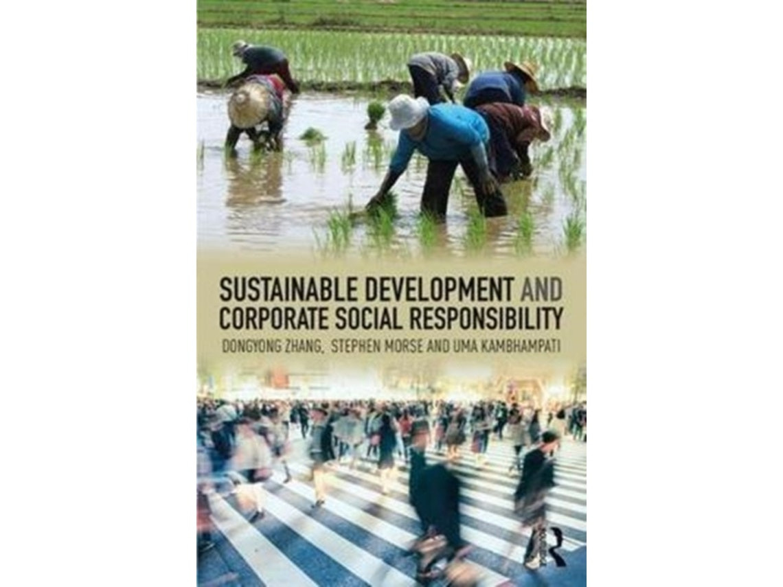 Sustainable Development and Corporate Social Responsibility de Dongyong Zhang, Stephen Morse y Uma Kambhampati (Inglés)