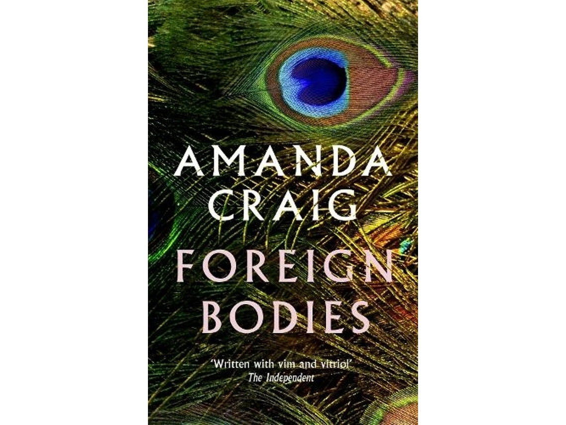 Foreign Bodies by Amanda Craig (English)