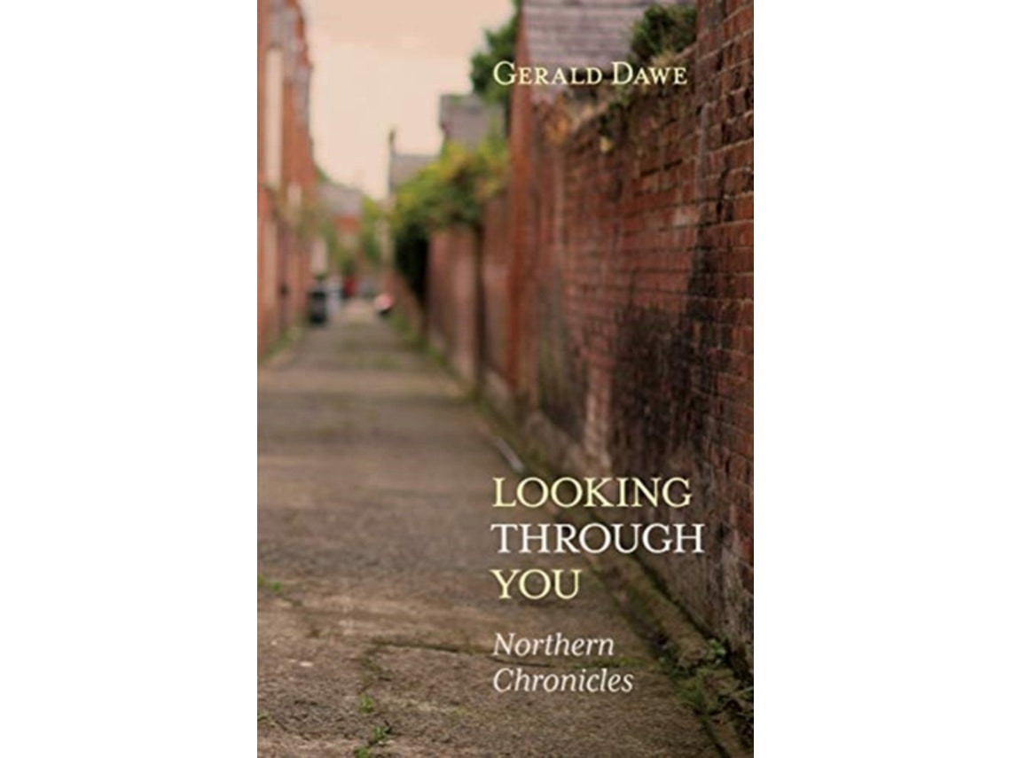Looking Through You de Gerald Dawe (Inglés)
