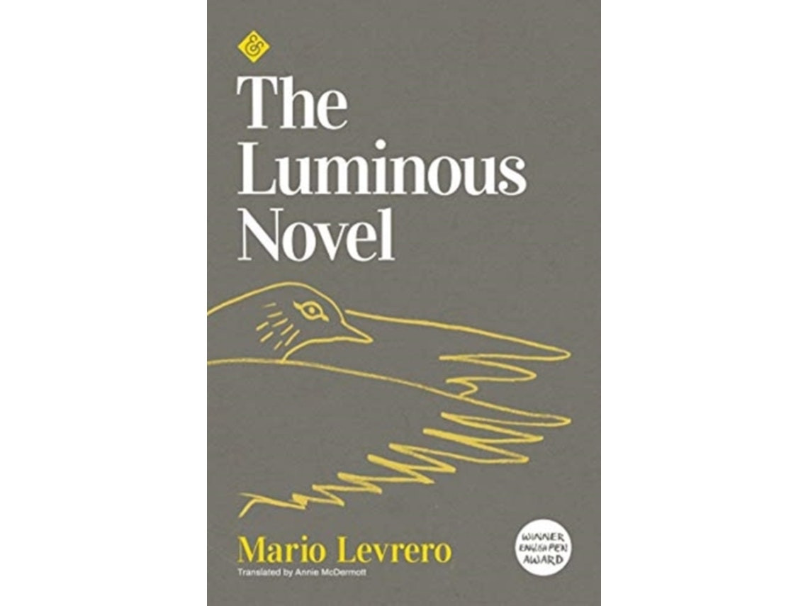 The Luminous Novel de Mario Levrero (Inglés)
