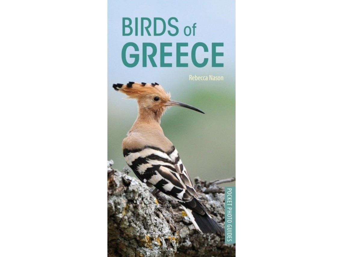 Birds of Greece de Rebecca Nason (Inglés)