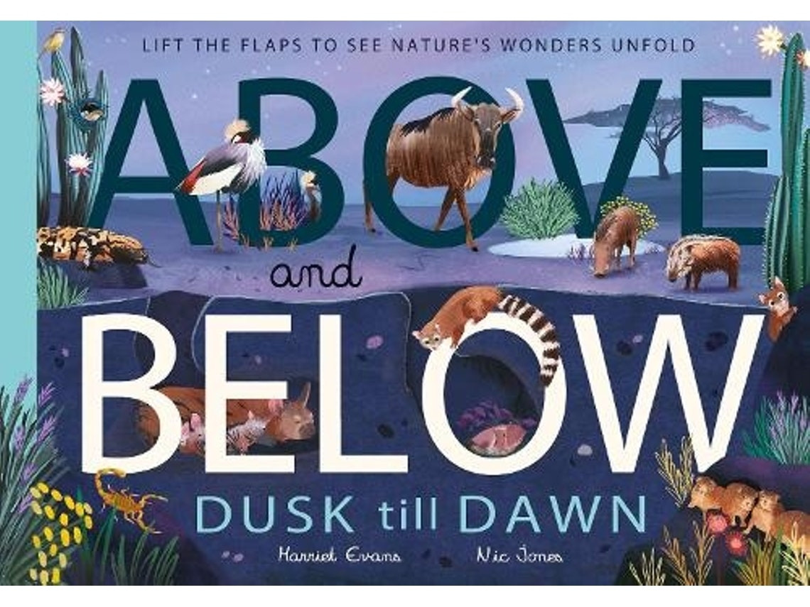 Above and Below: Dusk Till Dawn by Harriet Evans (English)