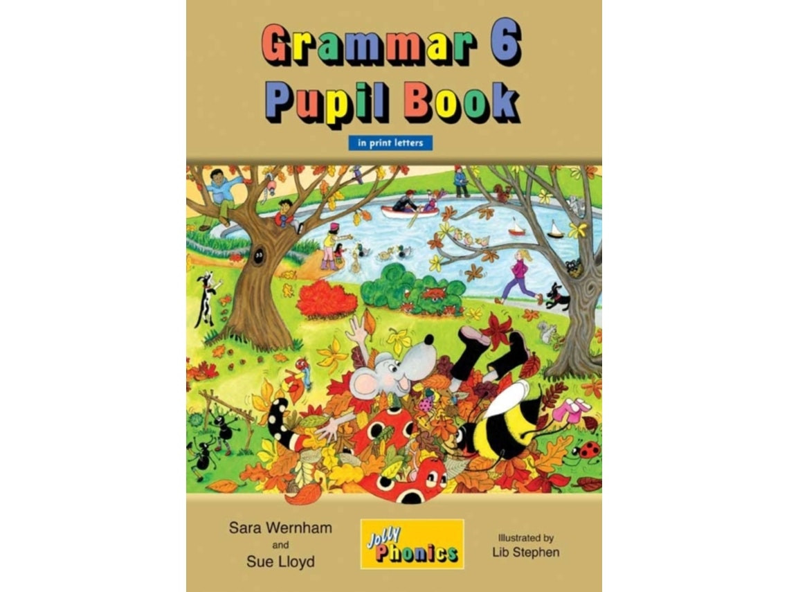Grammar 6 Pupil Book by Sara Wernham and Sue Lloyd (English)
