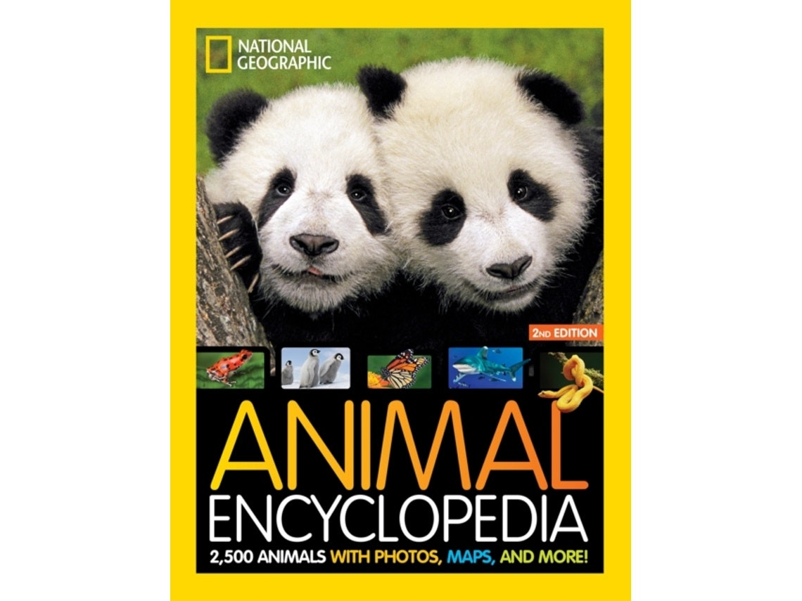 Animal Encyclopedia de Angela Modany (Inglés)