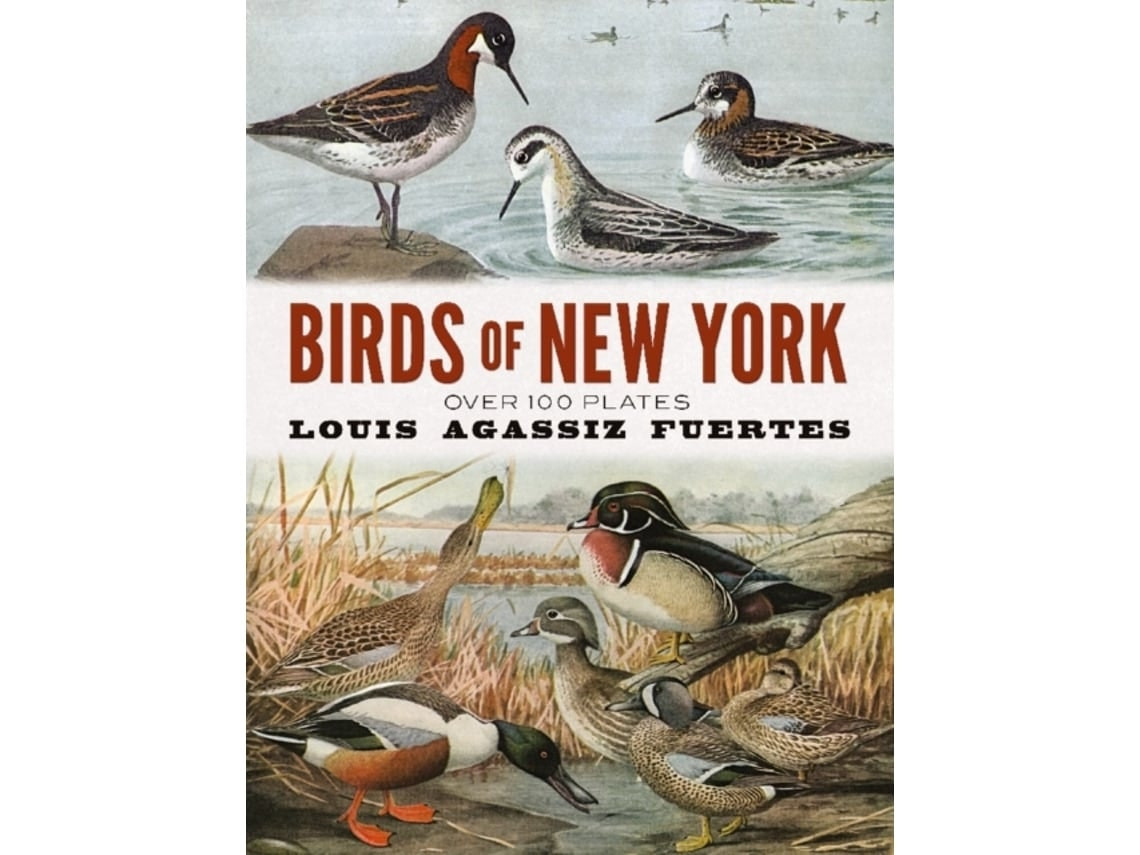 Birds of New York by Louis Agassiz Fuertes (English)