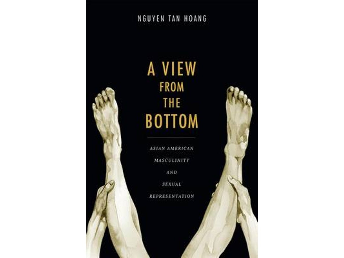 A View from the Bottom de Tan Hoang Nguyen (Inglés)